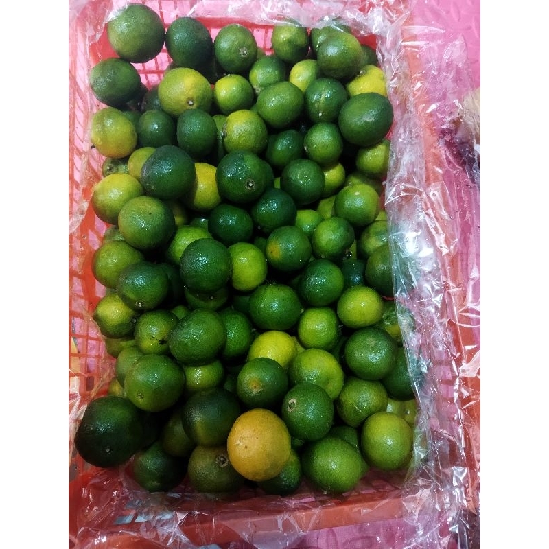 

Jeruk Shantang Hijau Madu 6kg/keranjang