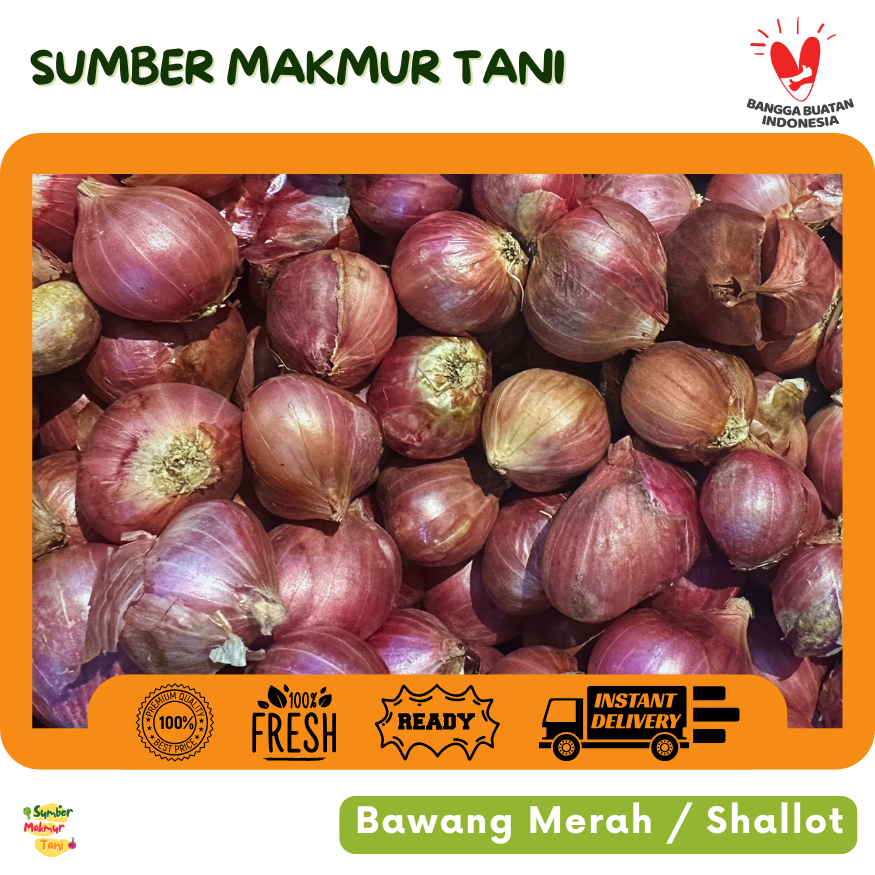 Bawang Merah Brebes Segar Petani Lokal