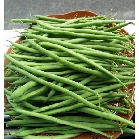 

Buncis Fresh 500 Gram