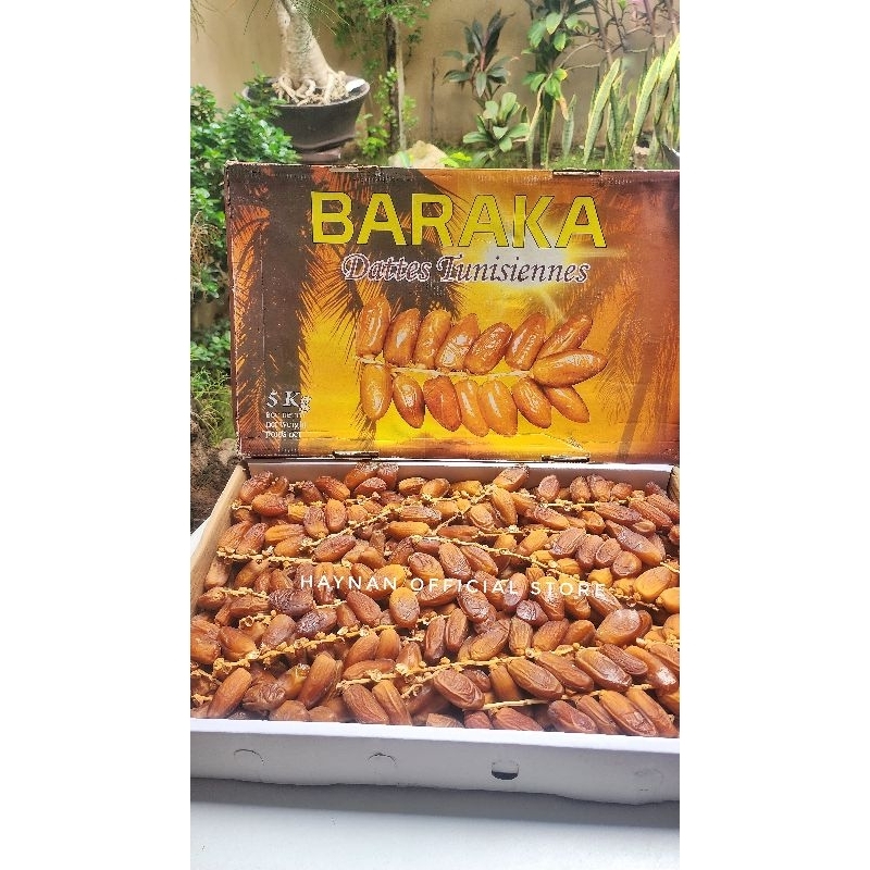 

KURMA TUNISIA TANGKAI 5KG EXP 2026