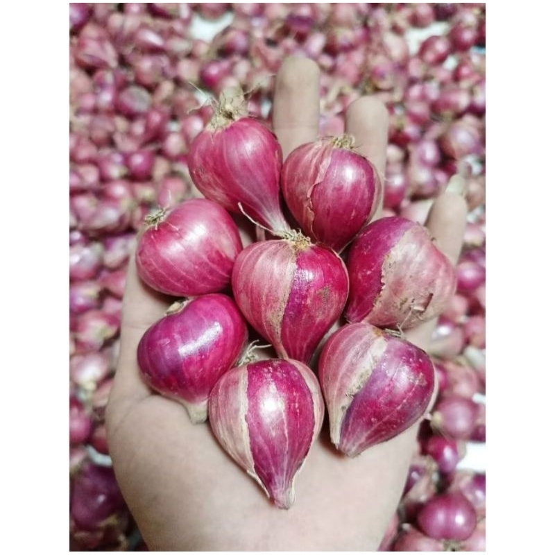 

Bawang Merah Kering Promo 500 gram