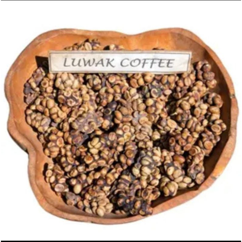 

kopi luwak