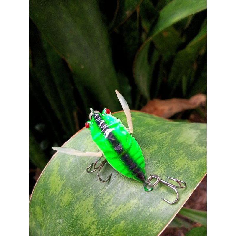 umpan casting top water cicada minnow / umpan casting cicada minnow / umpan casting minnow top water