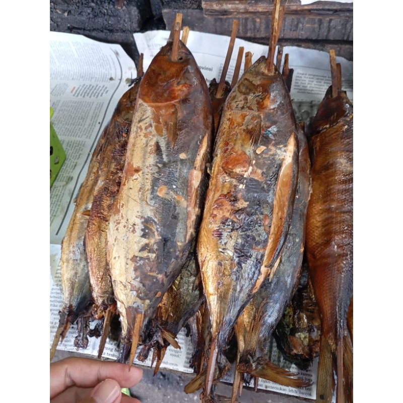 

Ikan Tuna Asap Fresh | Ikan Tuna Asap Frozen perekor | GOJEK READY