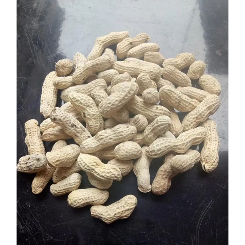 

Kacang asin kebumen