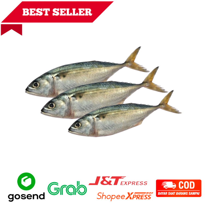 

Ikan Kembung Fresh Freshmart Go