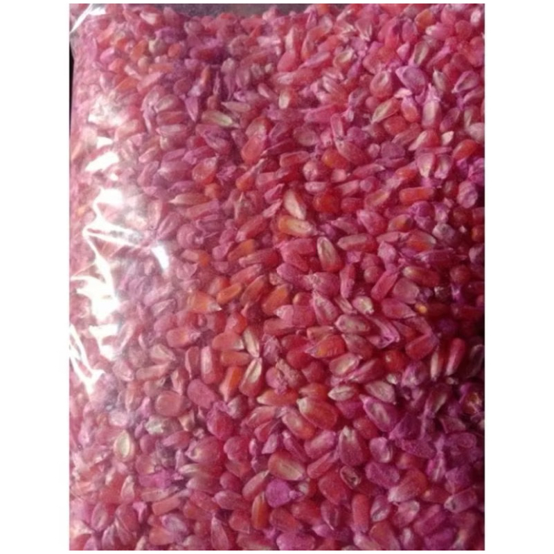 1000Biji BENIH JAGUNG KRISTAL SUPER