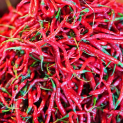 

Cabe Merah Keriting 500 gram
