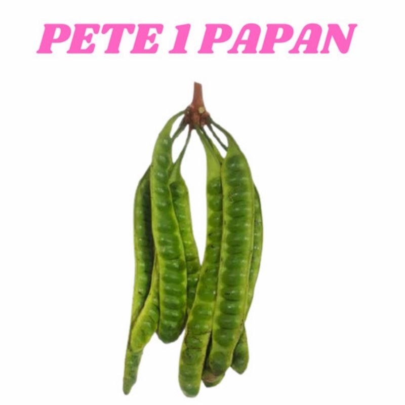 

PETAI / pete PER 1 PAPAN