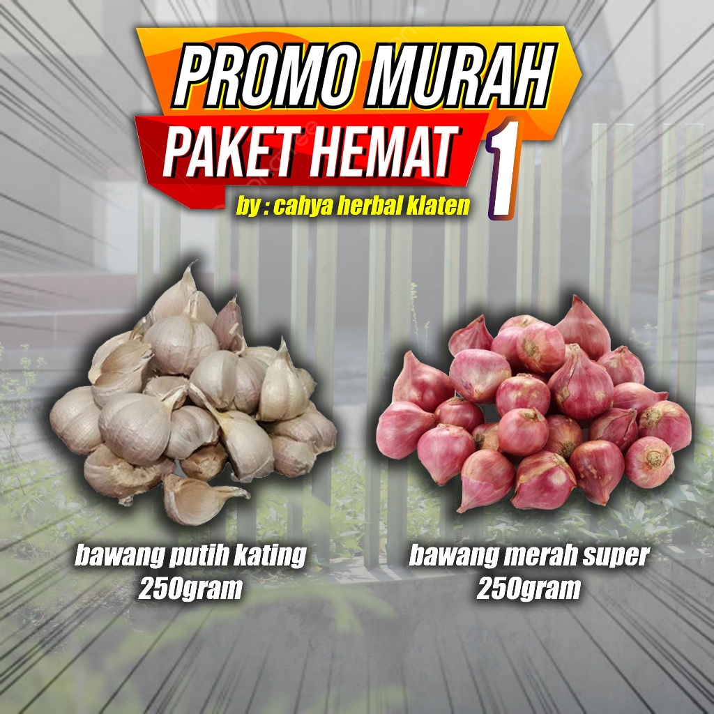 

Paket Hemat 1 Bawang Putih Kating 250 Gram (1/4kg) Dan Bawang Merah 250 Gr Sembako Bamer Baput Murah