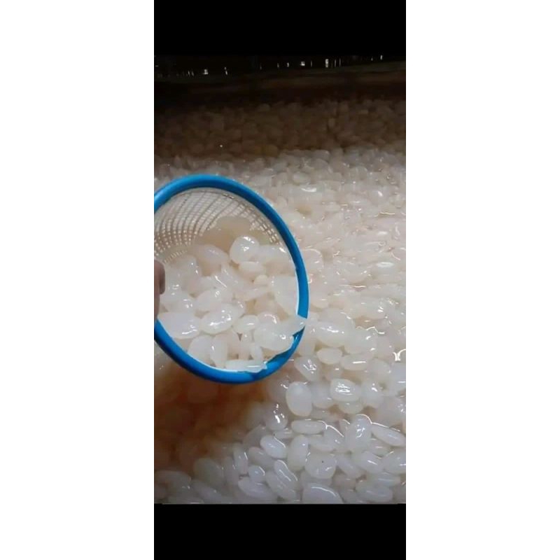 

KOLANG KALING BERSIH