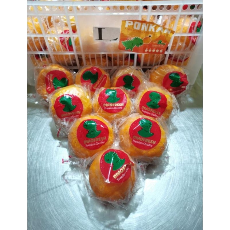 

jeruk ponkam dinofresh/kg