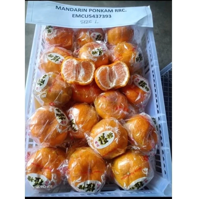 

Jeruk Ponkam Manis Honey Mandarin Orange 1 krat 8 kg Premium Hamper GIFTPACK IMLEK CNY