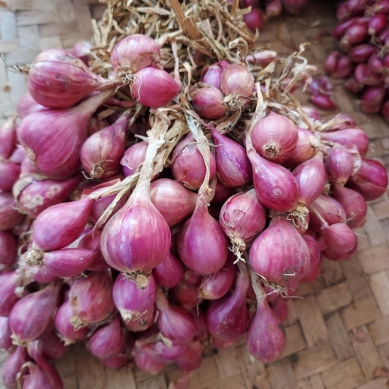 

bawang merah brebes pake daun