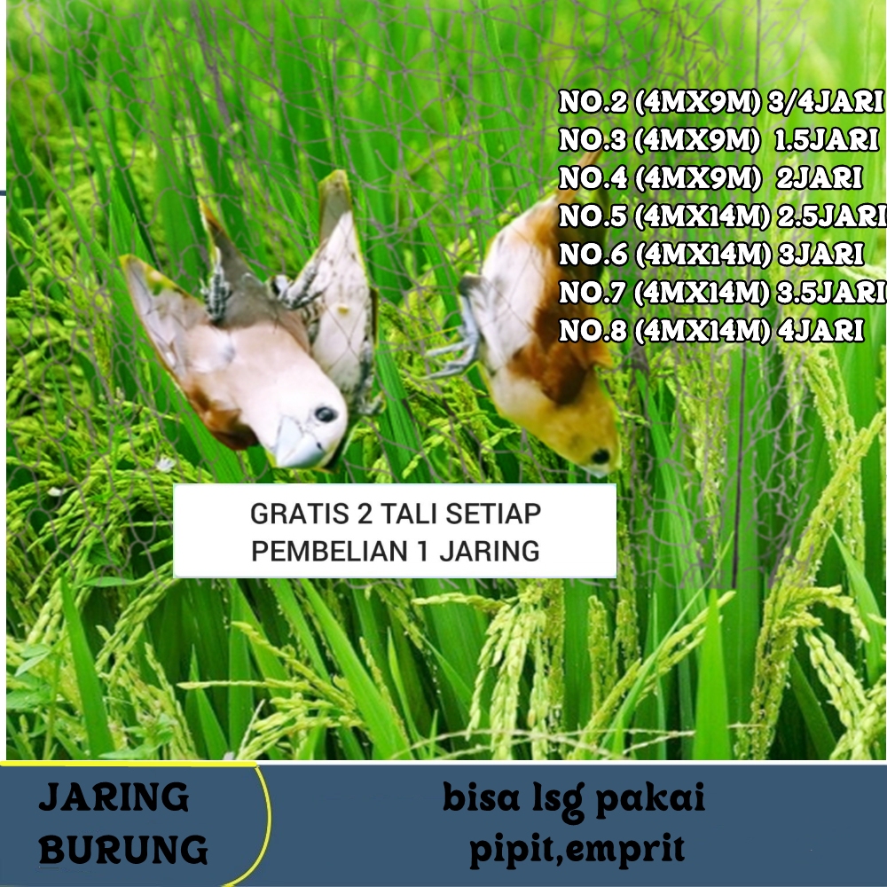JARING KUTILANG JARING BURUNG KUTILANG SIAP PAKAI JARING MONTANA JARING NYLON NO.2