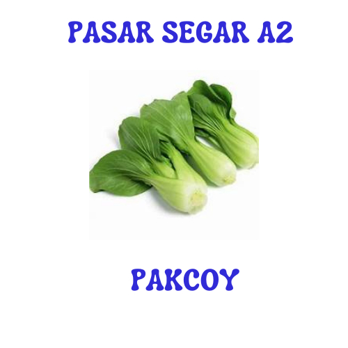 

SAYUR PAKCOY PASAR SEGAR MAKASSAR/PASAR TERONG ONLINE MKASSAR