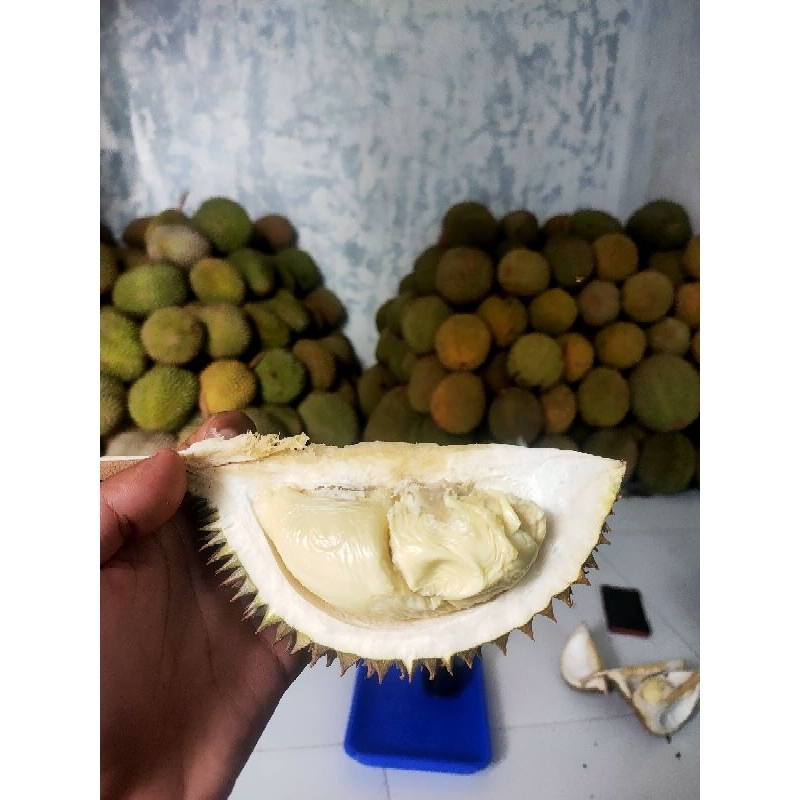 

DURIAN LOKAL BANJARNEGARA DIJAMIN MANIS