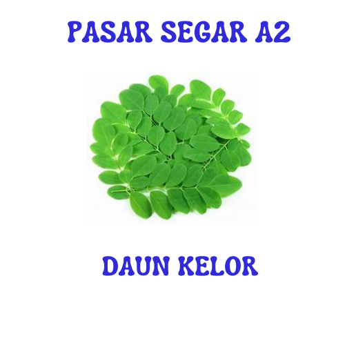 

SAYUR DAUN KELOR PASAR SEGAR MAKASSAR/PASAR TERONG ONLINE MAKASSAR