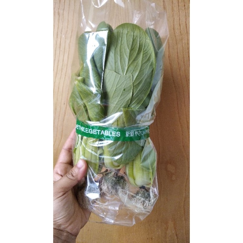 

Pakcoy hidroponik 250g