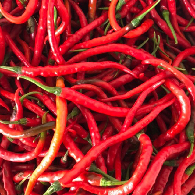 

Cabe merah keriting segar berat 1kg asli Blitar