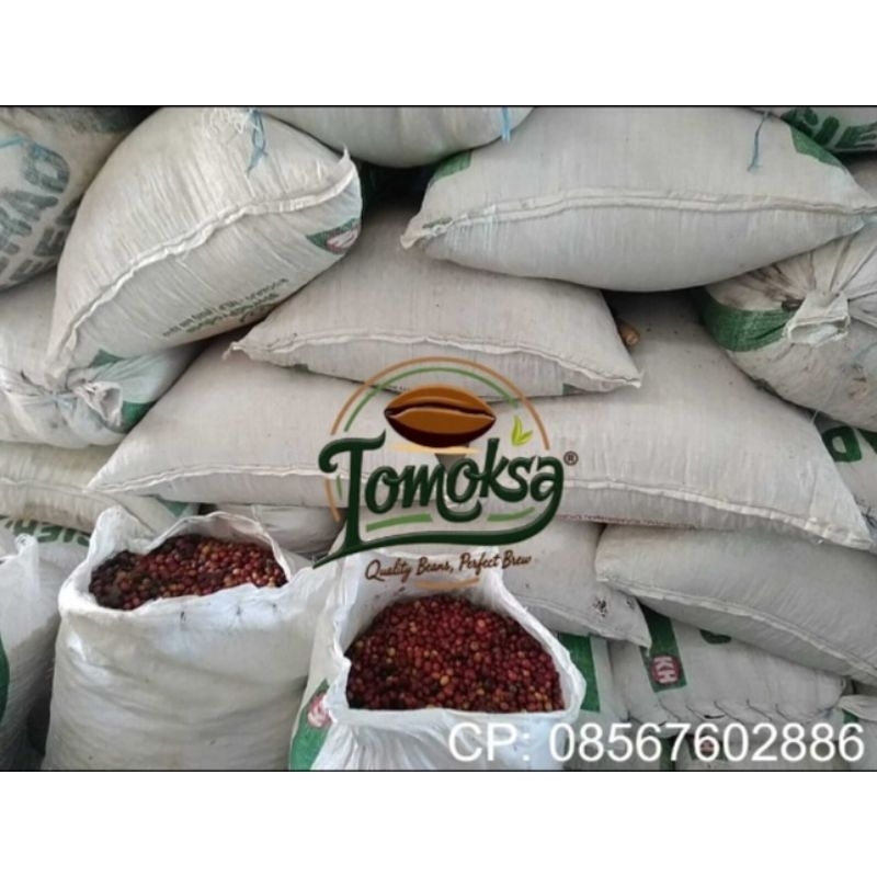 

Green Bean Robusta Dampit 1kg (Grade 1)