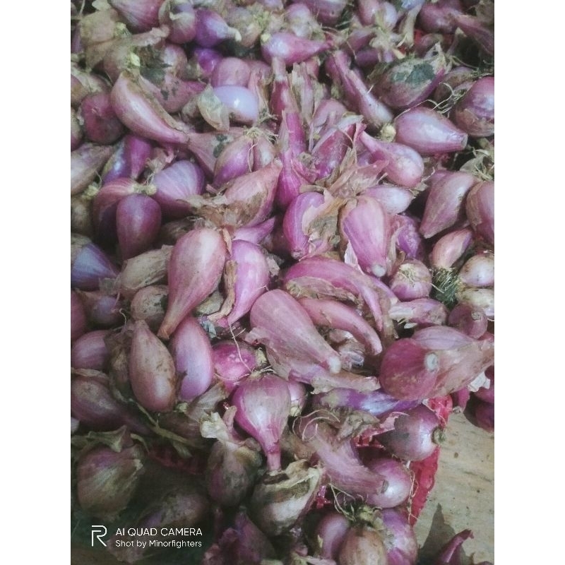 

BAWANG MERAH TANGGUNG 1kg