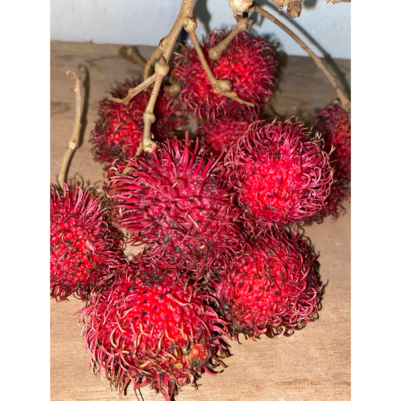 

buah rambutan manis 1kg