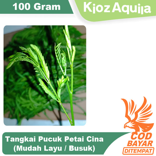 Daun Muda Petai Cina 100 Gram
