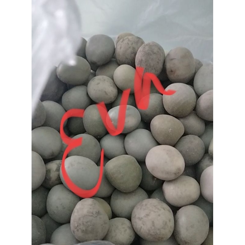 

Buah gorek, kebiul, kalaloyang isi 1 Kg