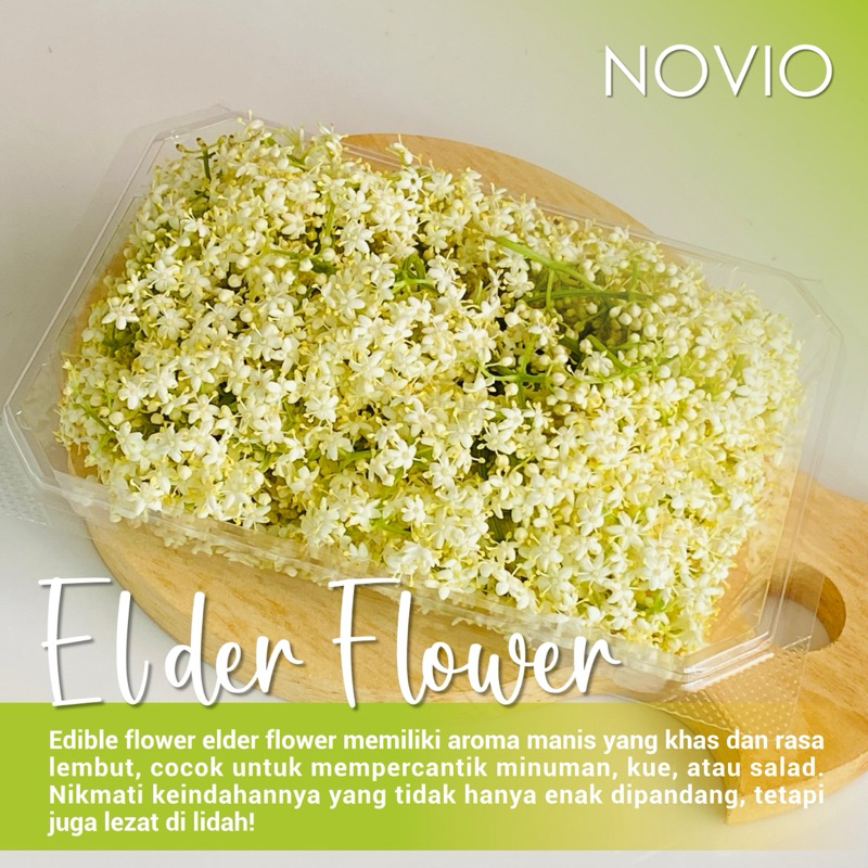 

Bunga Elder Fresh/ Edible Flower / Elder Fresh