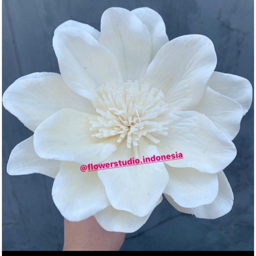 Magnolia Flowers/Bunga sola/ Sola Flower/ Bunga Magnolia/ Bunga Magnolia Sola/ Bunga sola wood/ Sola