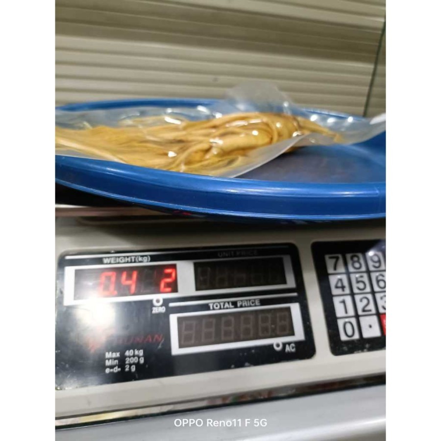 

FRESH GINSENG / GINSENG BASAH / GINSENG SEGAR