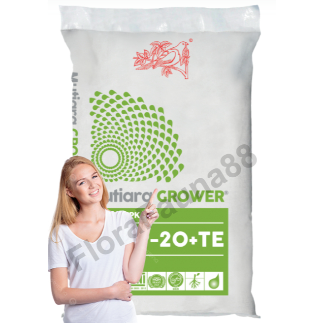 Pupuk NPK Grower 500 Gram Repack 15 09 20 TE Mutiara Meroke Nutrisi Buah Anggur Buah Sayur ori