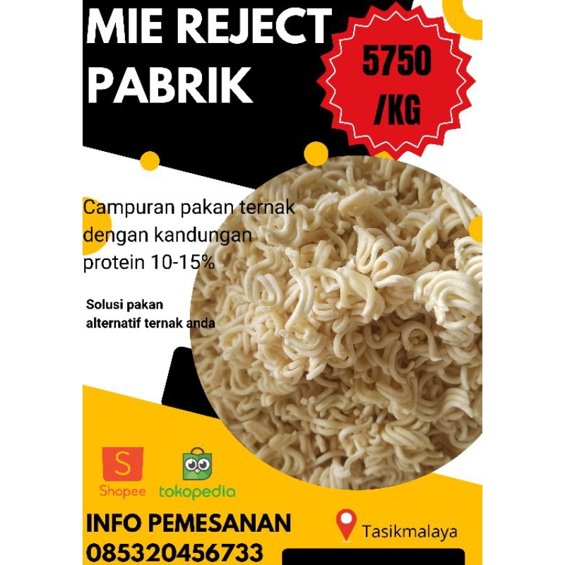 pakan ternak alternatif mie reject / rijek pabrik