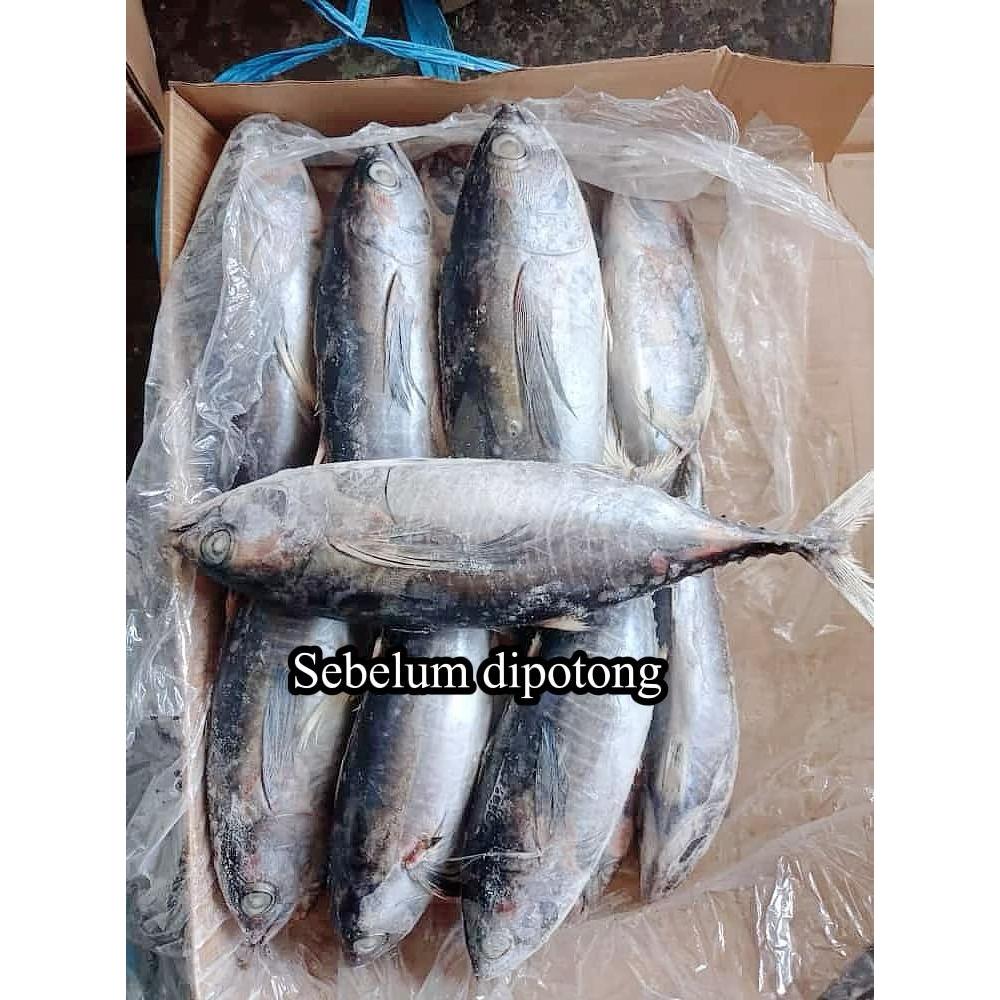 

IKAN BABY TUNA SEGAR / IKAN TONGKOL AYAM
