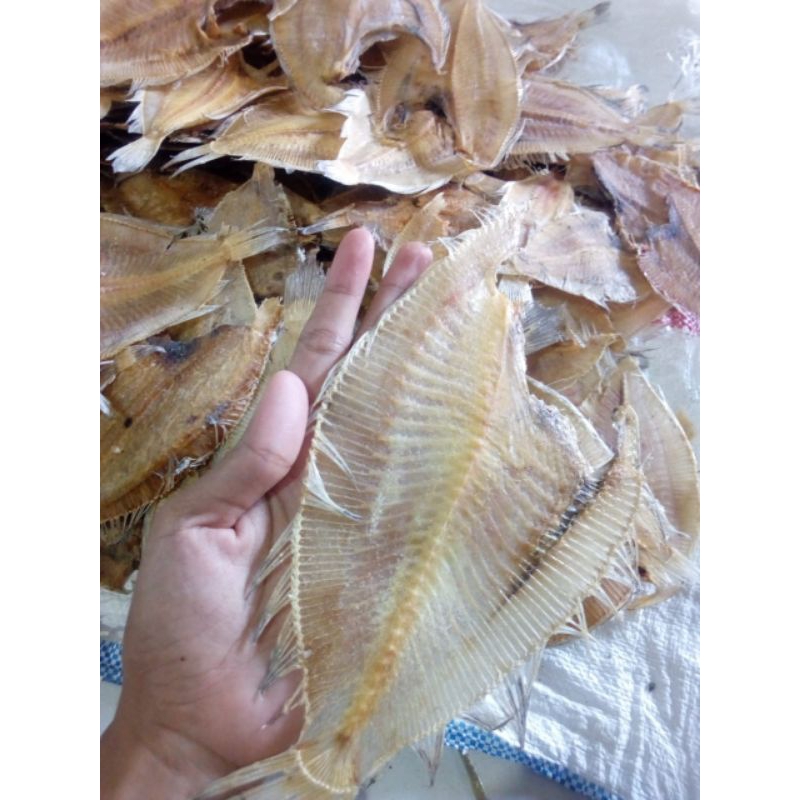 

Ikan Asin / Ikan Gereh (Pihi / Kensi / Tlumpah)