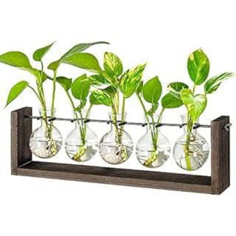 HIASAN DEKORAI MEJA DAN DINDING POT KACA ISI 5