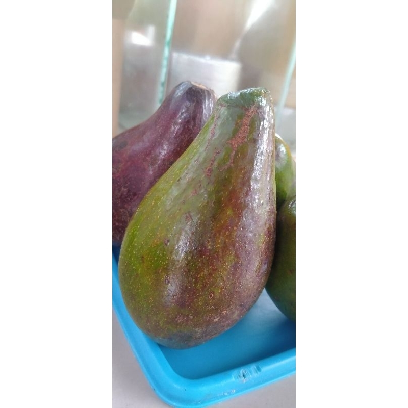 

Pokat Mentega Pokat Segar Buah Pokat Mentega Pokat Ukuran Sedang