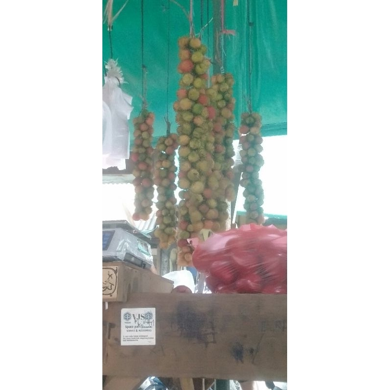 

rambutan rapiah manis poll