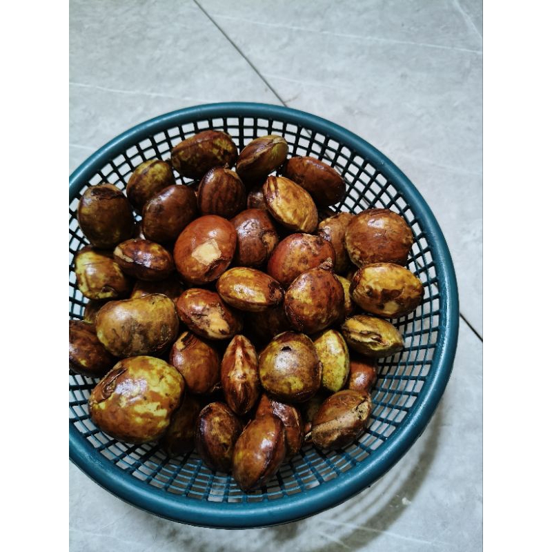 

jengkol tua super pulen fresh