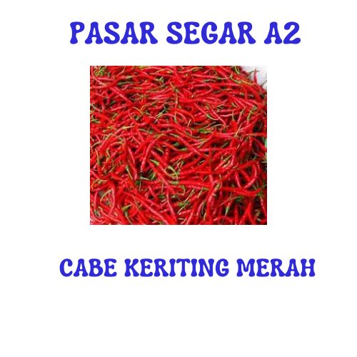 

CABE KERITING MERAH PASAR SEGAR MAKASSAR/PASAR TERONG ONLINE MAKASSAR