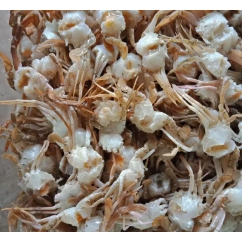 

Baby Crab Kepiting Kecil Rajungan Segar Mentah Fresh Frozen