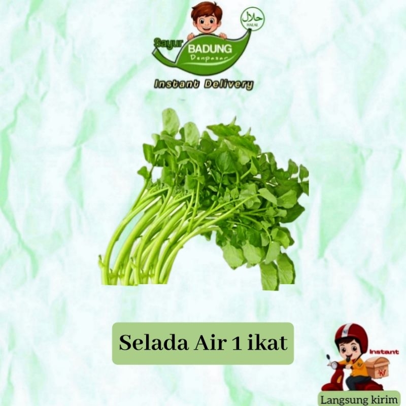 

Sayur Selada Air 1 ikat _ Badung