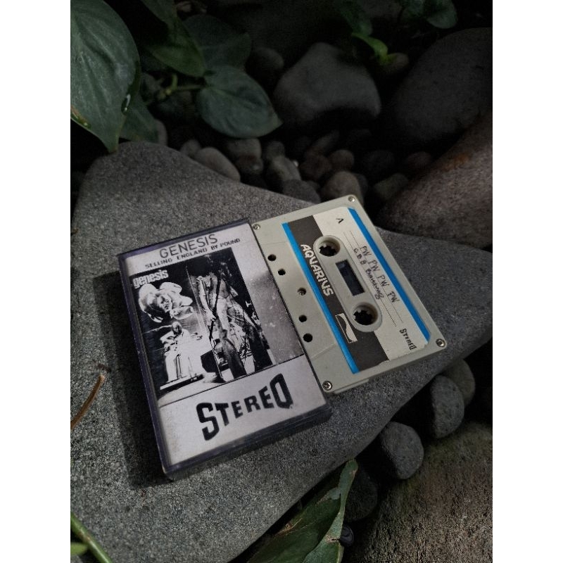 Kaset pitaGenesis 75rb
Fungsi normal