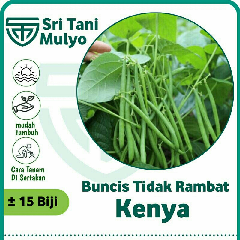 

binih bunycis tida berakar