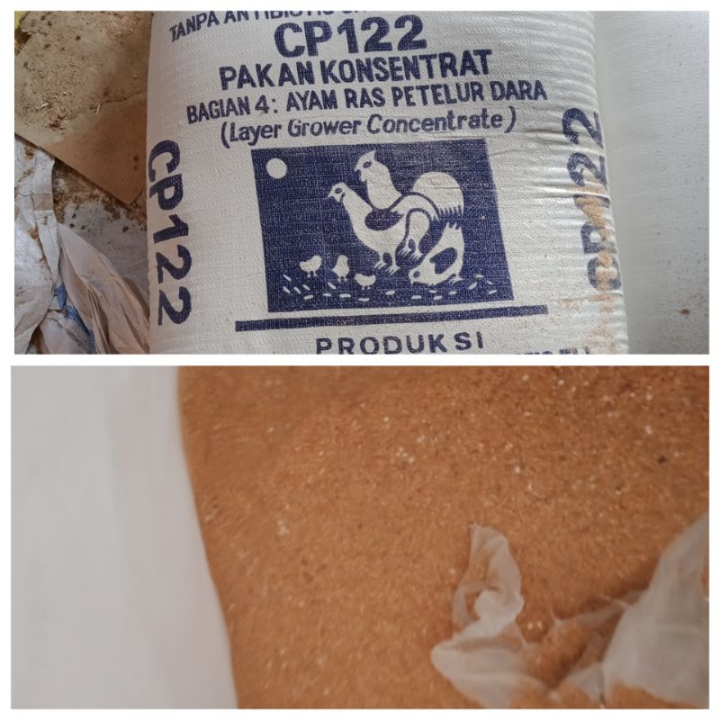 konsentrat petelur pakan ayam layer cp122 hi pro vite sekilo