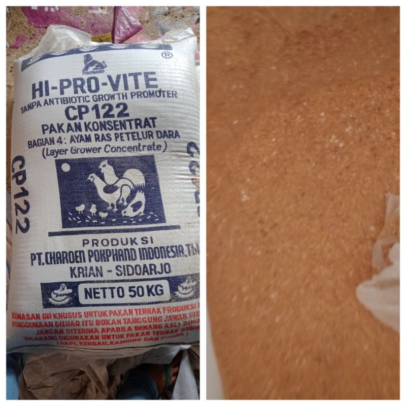 konsentrat layer dara pakan ayam petelur muda cp122 hi pro vite 15 kg