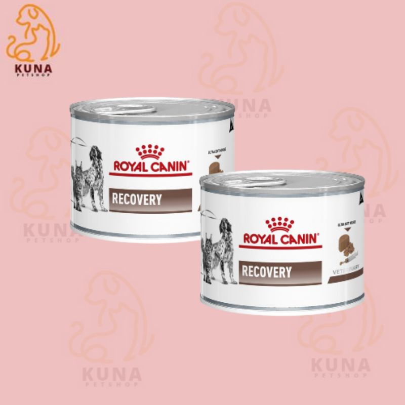 ROYAL CANIN WET FOOD RECOVERY