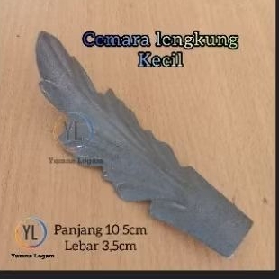 Cemara lengkung Besar/Kecil