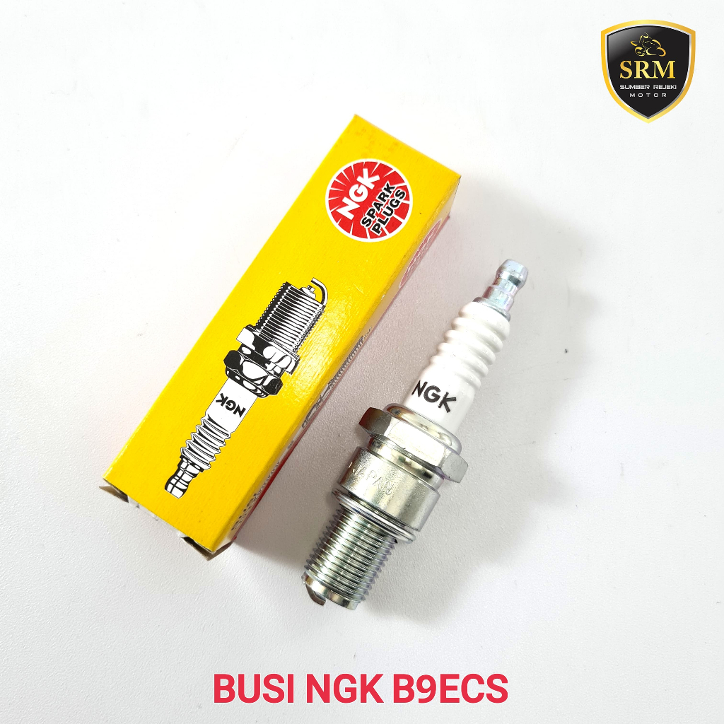 Busi NGK B9ECS